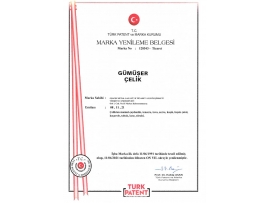 Gümüşer Çelik